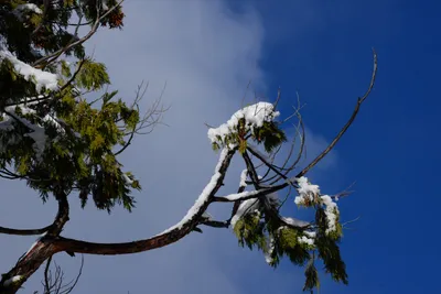 DSC_0781 (Large).JPG